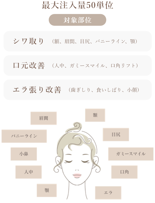 使用薬剤